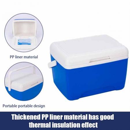 Scatola frigo portatile per auto rigida in plastica OEM ODM Piccola scatola frigo per esterni in PU per picnic campeggio all'aperto 8L 